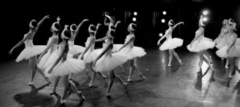 The Sleeping Beauty Ballet