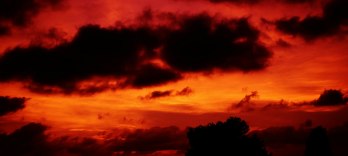 The Divine Comedy, Musical Opera