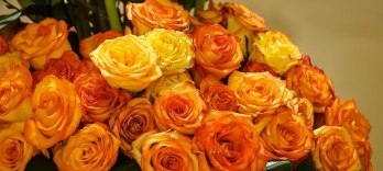 Baile de las Flores de los Jardines Municipales de Viena