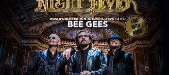 Night Fever, Трибьют Bee Gees