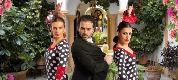 Arte Flamenco