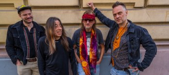 Harri Stojka, Anarchy