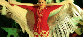 Espectáculo de flamenco de El Palacio Andaluz