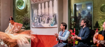 Espectáculo de Flamenco Casa de la Memoria