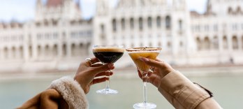 Круизы для вечеринок