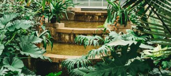 El rapto en el serrallo