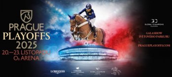 グローバル チャンピオンズ プラハ プレイオフ 2025