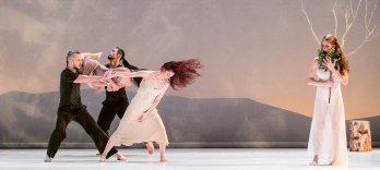 Carolyn Carlson Company