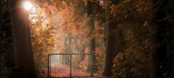 Зеркало наших страданий