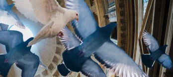 La clemencia de Tito