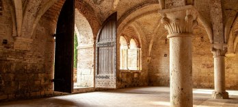 The Name of the Rose