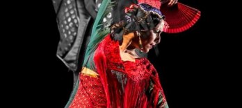 Tablao Alvarez Quintero Flamenco Show