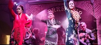 Espectáculo Tablao Flamenco El Paraigua