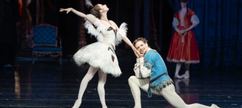 Иллюзии, Как Лебединое озеро Балет