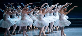 Лебединое озеpо