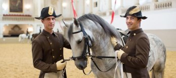 Утренняя тренировка