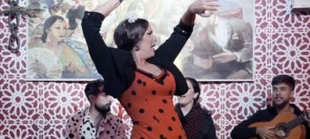 Mariscal Patio Flamenco Show