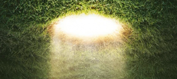 Alicia en el País de las Maravillas