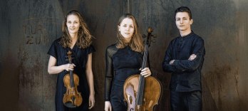 Трио Амелио