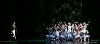 Спящая красавица