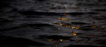 Das Rheingold