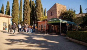 Catacumbas de San Calixto