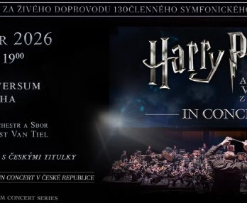 Harry Potter In Concert