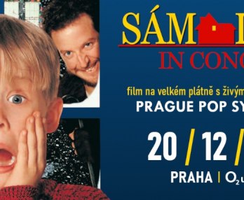 Home Alone in Concert