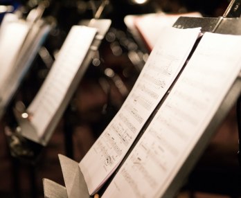 Birth of a Star, A Concert Tribute to Ema Destinnová